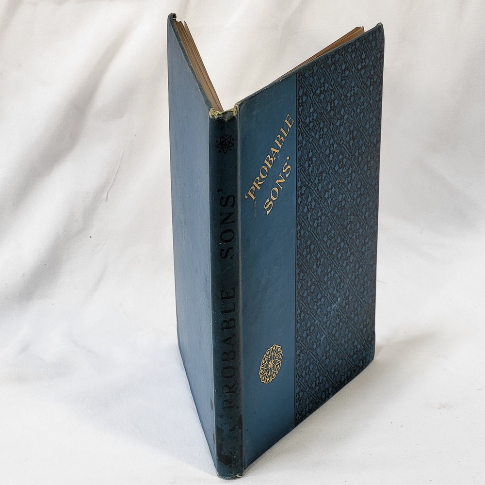 Probable Sons Amy Le Feuvre Antique 1900s Tract Society Victorian Hardcover - Picture 2 of 14